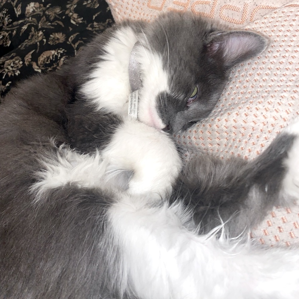 Meet your Posher, Lala